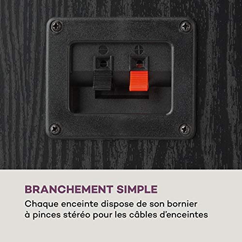 AUNA Line E 1005 Enceinte - Enceinte Hi-FI 3 Voies, 700 W Max, 2X 180W RMS, subwoofer, médium, Tweeter, boîtier Bass-Reflex, Aspect Bois, Noir – Image 7