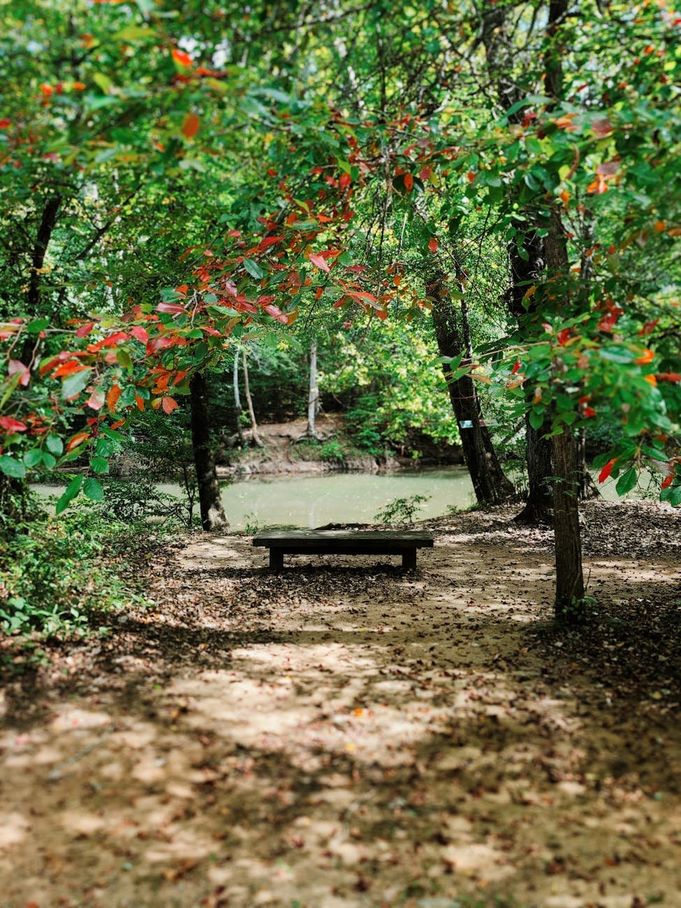 Une astuce photo méconnue booste les Google Pixel, Android corrige une faille critique, c’est le récap’ de la semaine