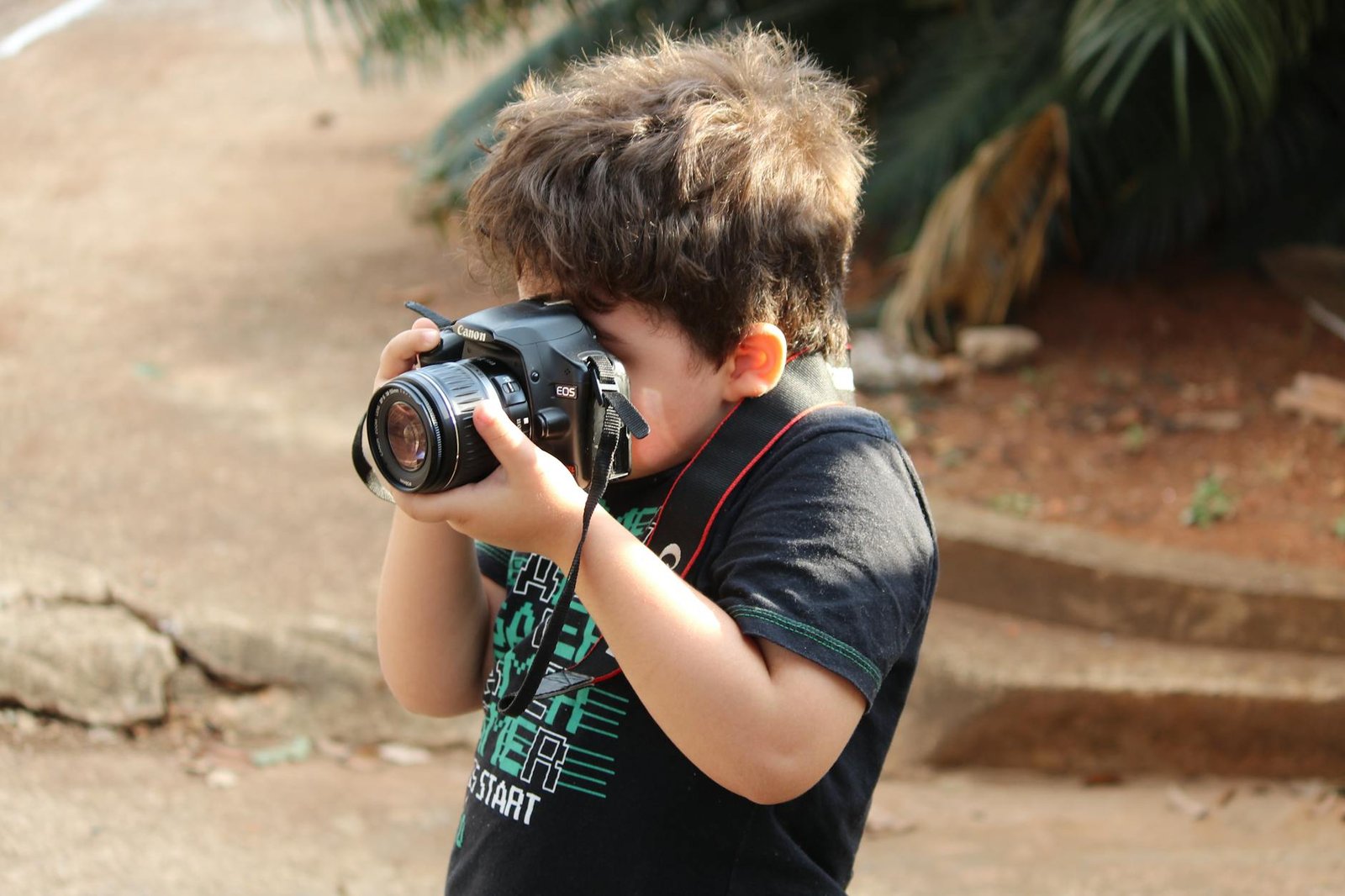 Top appareils photo pour débutants